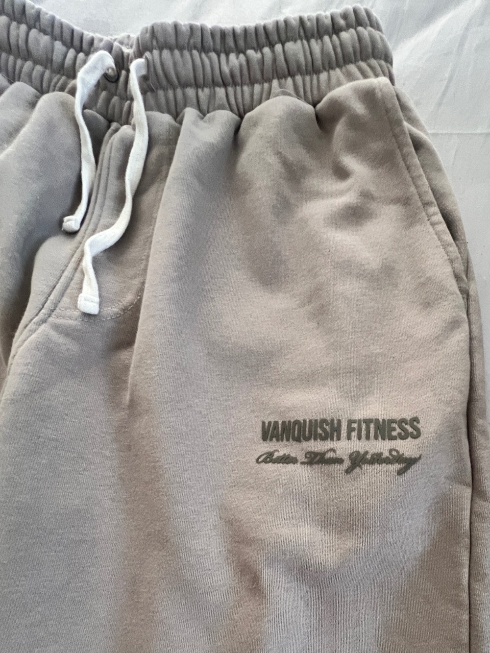 VANQUISH FITNESS fleece gym pants , size L, super cozy , slim fit , - Picture 2 of 7